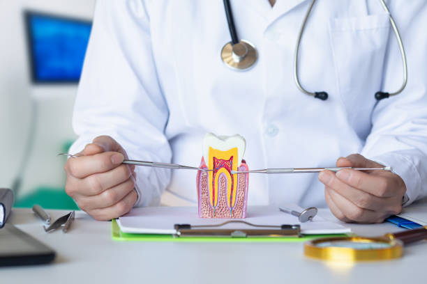 Best After-Hours Emergency Dentist in Crystal Lakes, OH